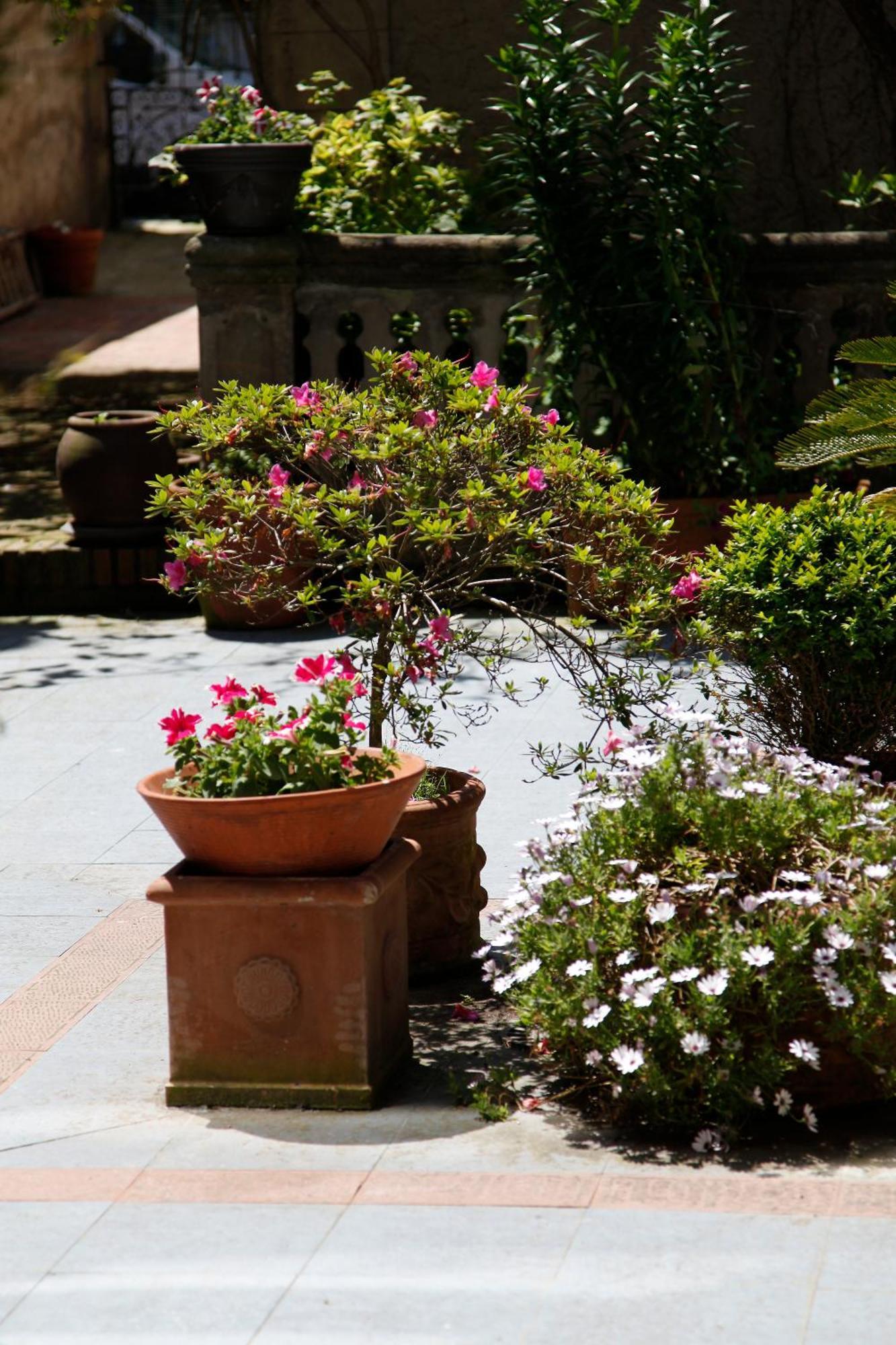 Hotel Villa De לוארקה מראה חיצוני תמונה